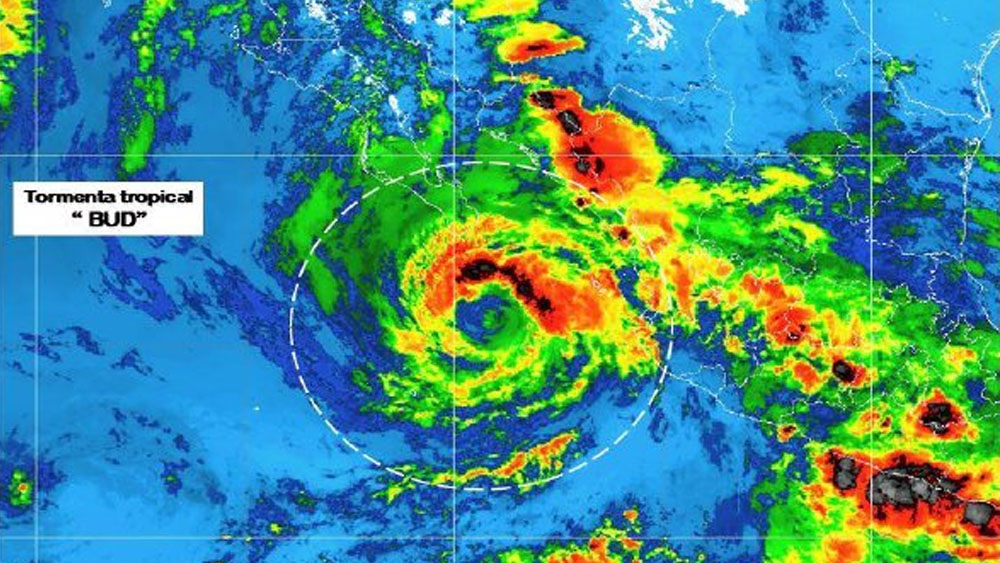 Comienza la reactivación tras paso de Bud en BCS