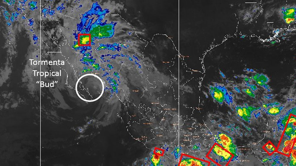 Tormenta tropical Bud se ubica al noreste de La Paz