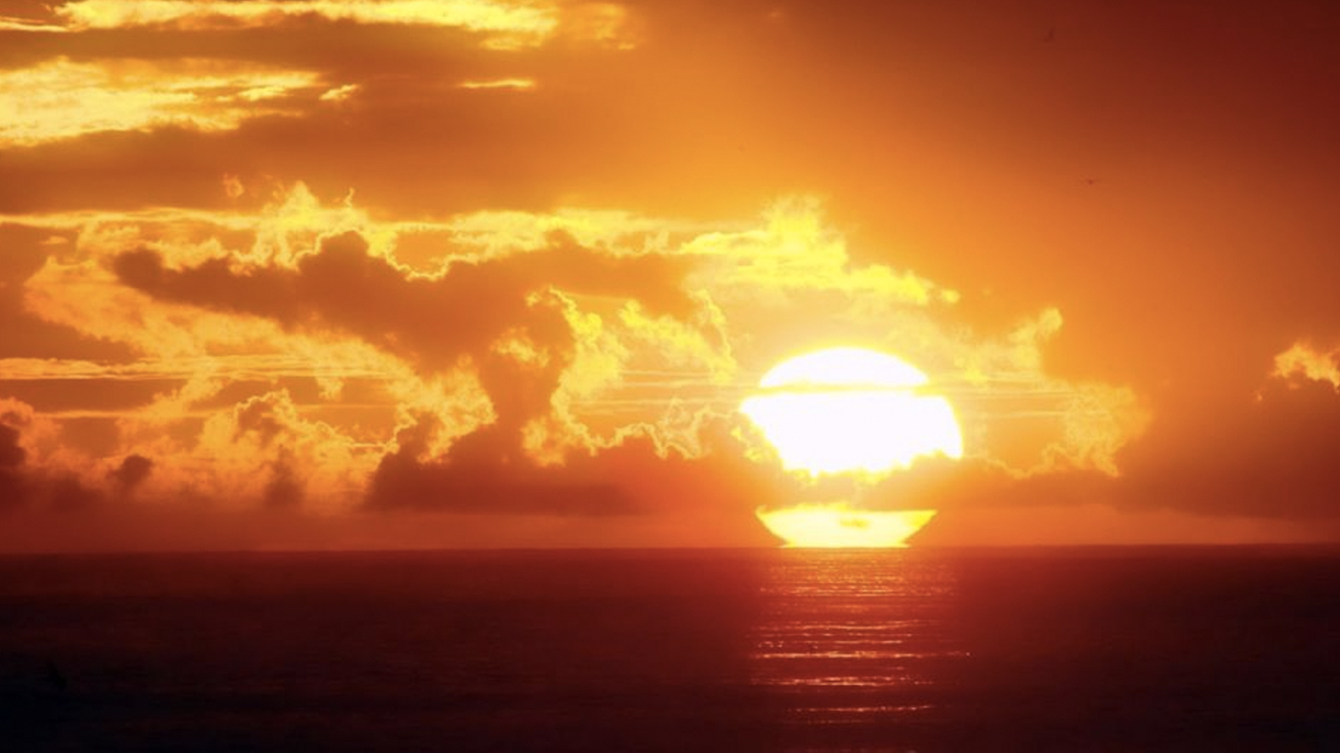 Hoy es el solsticio de verano y el día más largo del año - verano