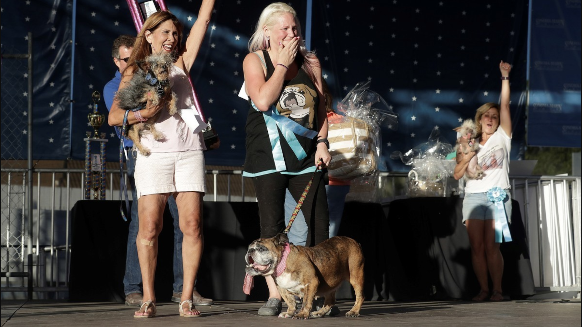 #FOTOS La mascota más fea del mundo