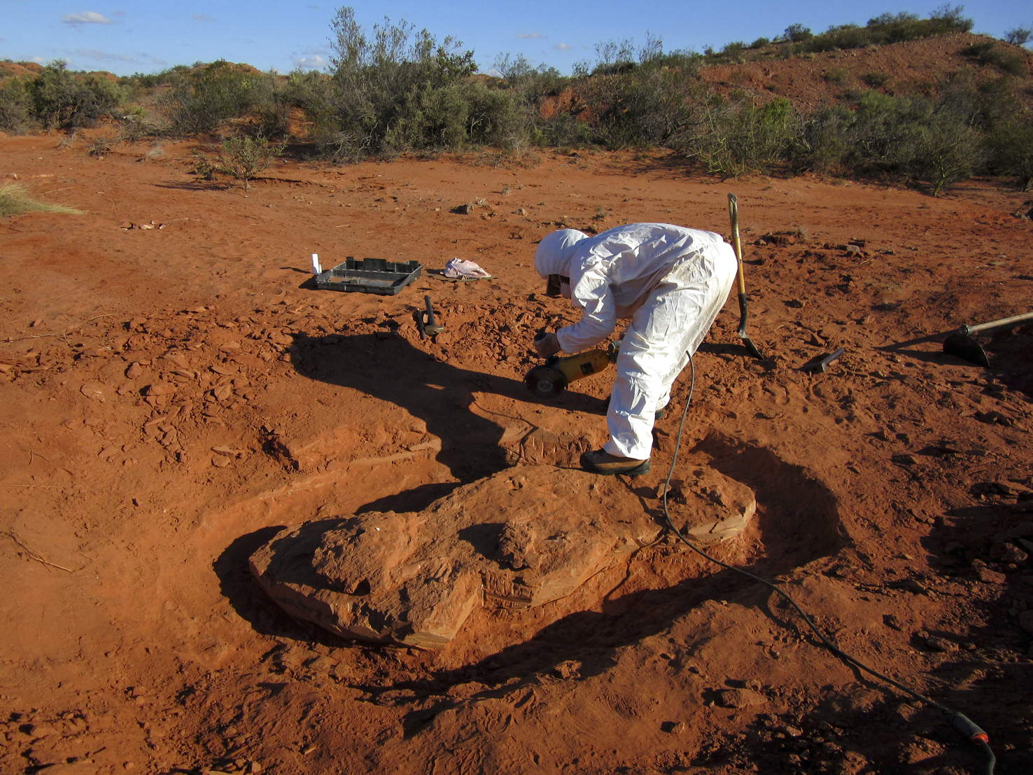 Descubren restos de dinosaurio gigante en Argentina - 000-17e2sy