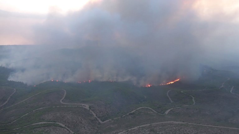 Sube a 74 cifra de muertos tras incendios en Grecia - 000-17w2am