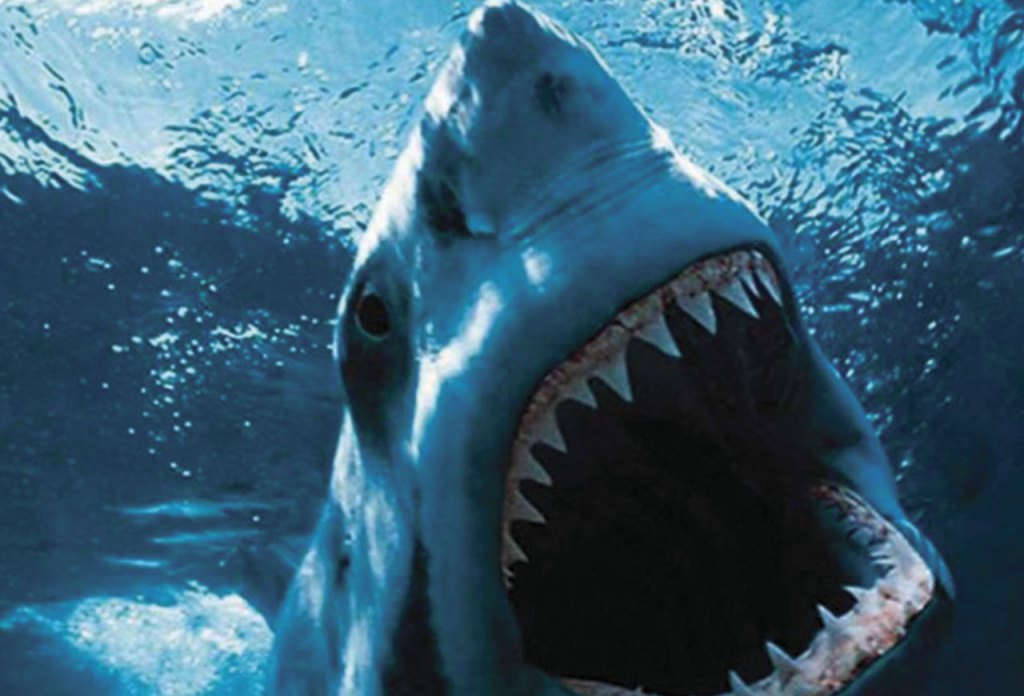 25 películas que debes ver en la vida - 25peliculas-hotbook-10