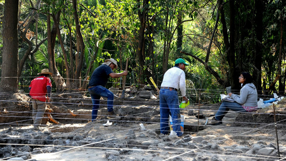 Halla INAH palacio prehispánico en Coyoacán - academia-mexicana-de-la-lengua-tecpan-inah-2
