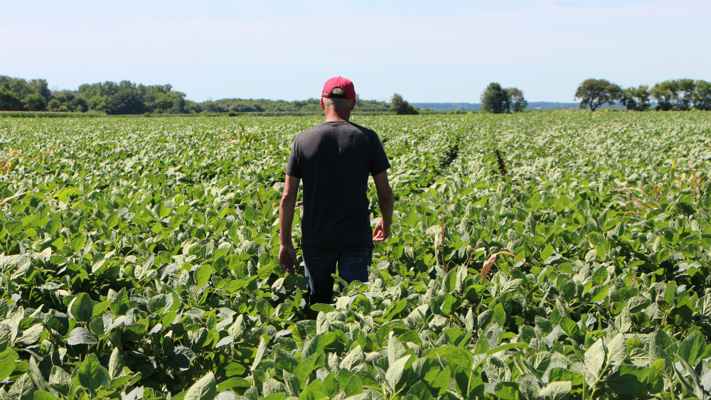 EE.UU. anuncia ayuda por 12 mil mdd a agricultores afectados por aranceles