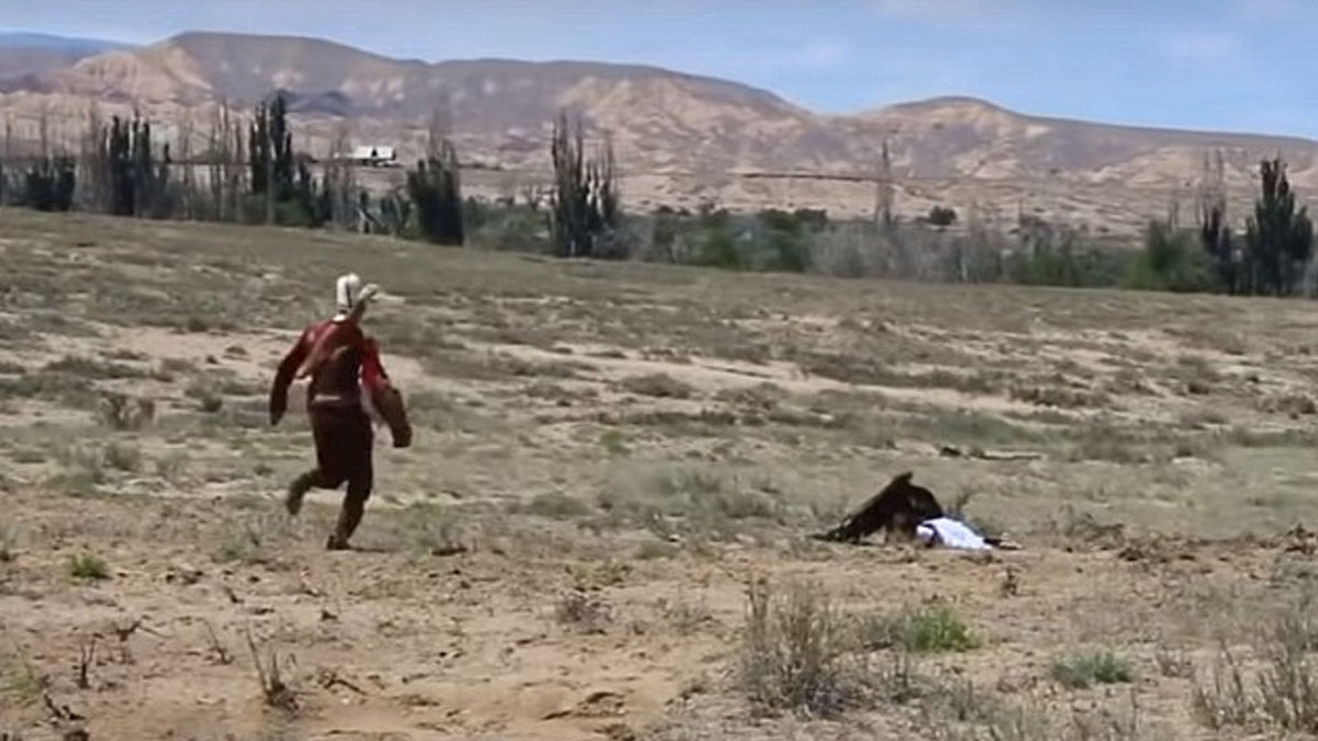 #Video Águila confunde a niña con presa