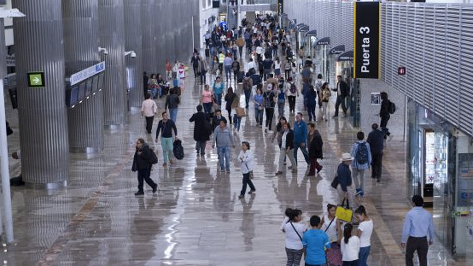 Incrementa presencia de binomios caninos en aeropuertos de la CDMX, Cancún y Tijuana