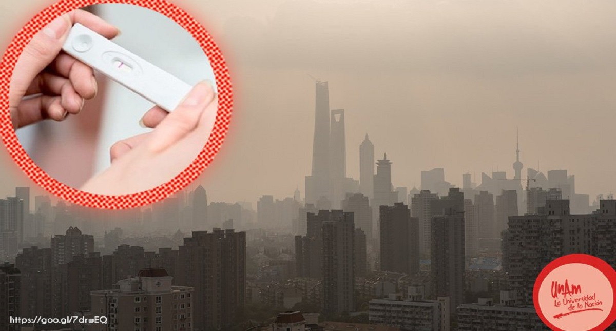 Alerta UNAM que contaminación del aire podría causar infertilidad - alerta-unam-que-contaminacion-del-aire-podria-causar-infertilidad