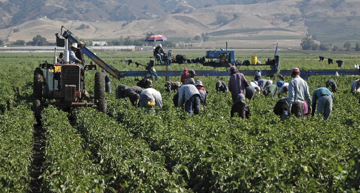 Alertan por falsos reclutadores de jornaleros para ir a Canadá
