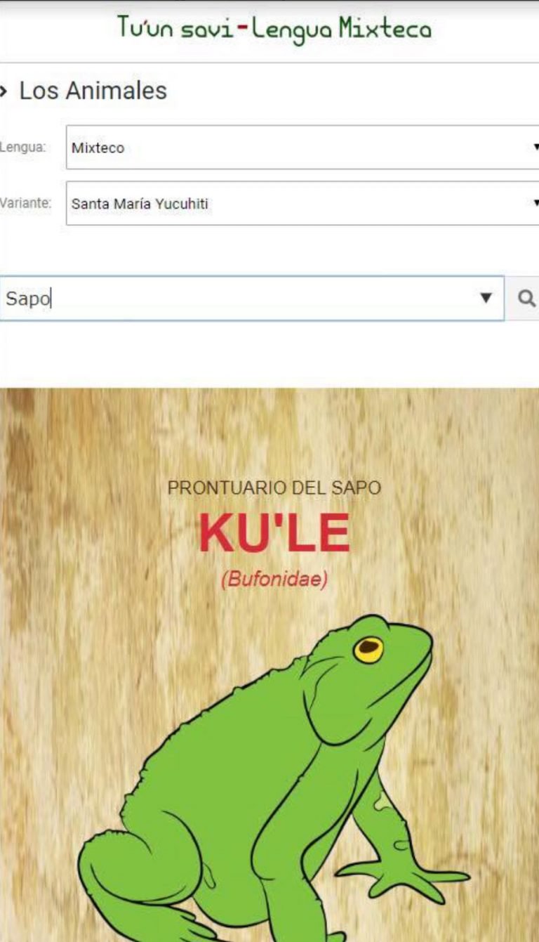 Jóvenes crean traductor del español al mixteco - aplicacion-mixteco-espanol