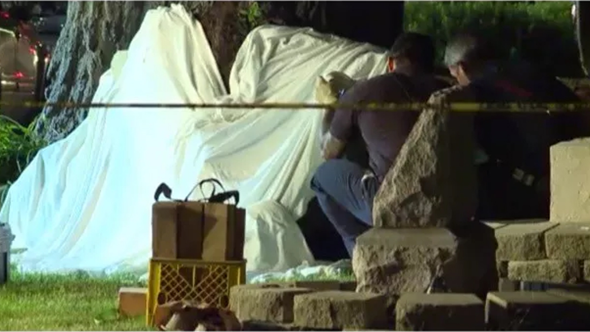 Mueren dos personas aplastadas por rama de árbol en Illinois - arbol-illinois-muertos