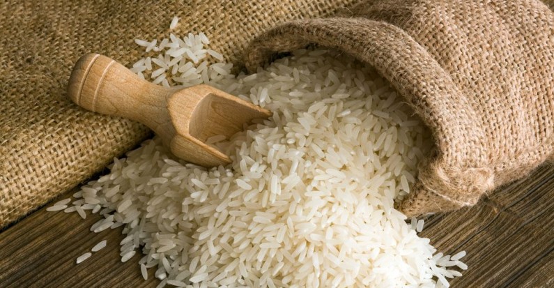 Arroz transgénico podría evitar entrada de VIH en células humanas - arrozint
