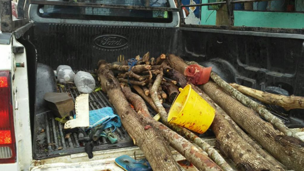 Ataque a familia en Guerrero deja cuatro muertos Ataque a familia en Guerrero deja cuatro muertos