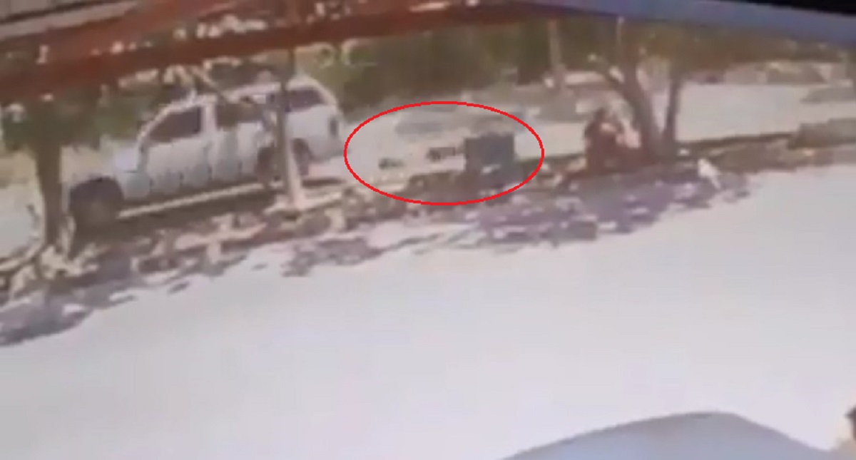 #Video Cadáver cae de cajuela y es arrastrado en persecución