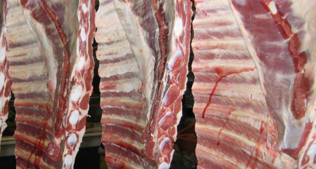 Ponen en cuarentena a seis mil cabezas de ganado por tuberculosis - carne-de-res