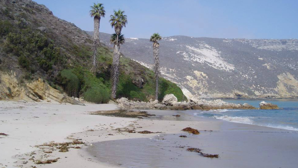 Asegura NASA que 24 por ciento de las playas de la Tierra se están erosionando - channel-islands-marine-sanctuary