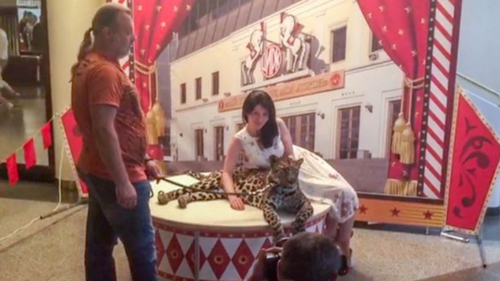 Uso de animales en circo de Moscú causa polémica - circo-moscu-animales-2