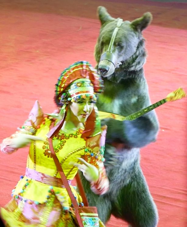 Uso de animales en circo de Moscú causa polémica - circo-moscu-animales-3