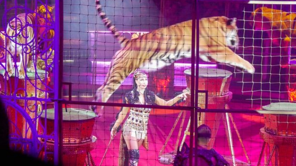 Uso de animales en circo de Moscú causa polémica - circo-moscu-animales-4