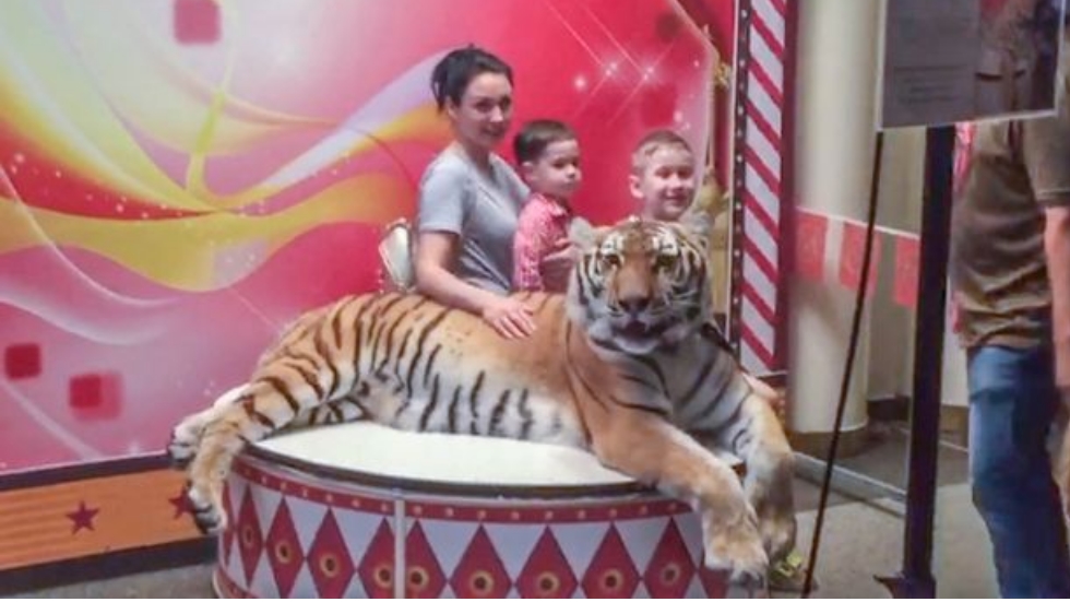 Uso de animales en circo de Moscú causa polémica - circo-moscu-animales-5