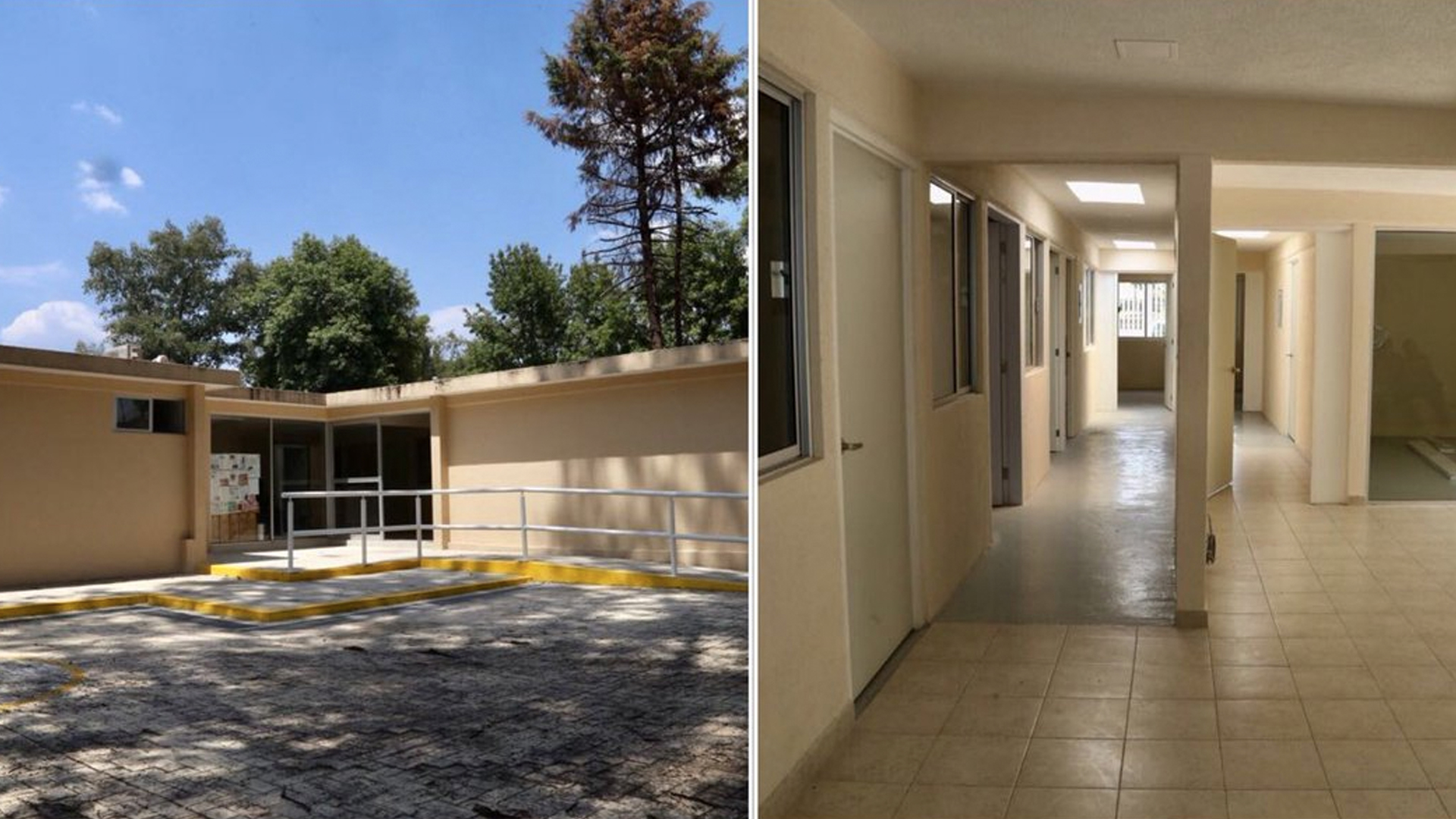 Abrirán clínica veterinaria en honor a la perrita rescatista Frida