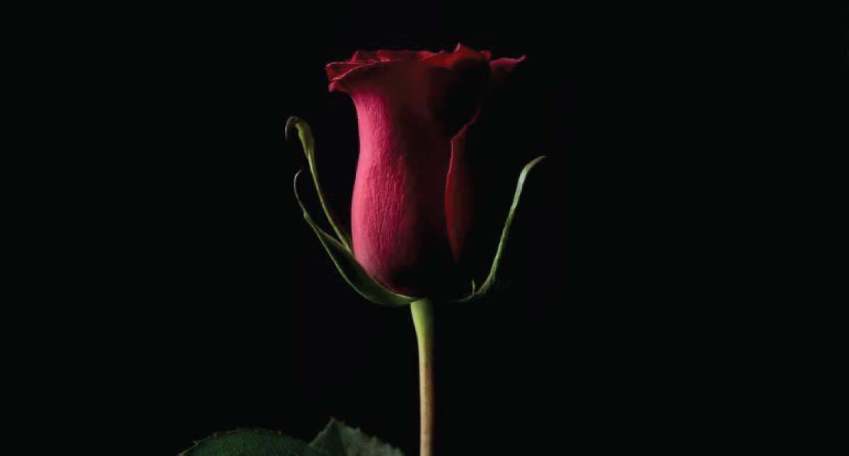 Obra de virtual se vende en 1 millón de dólares