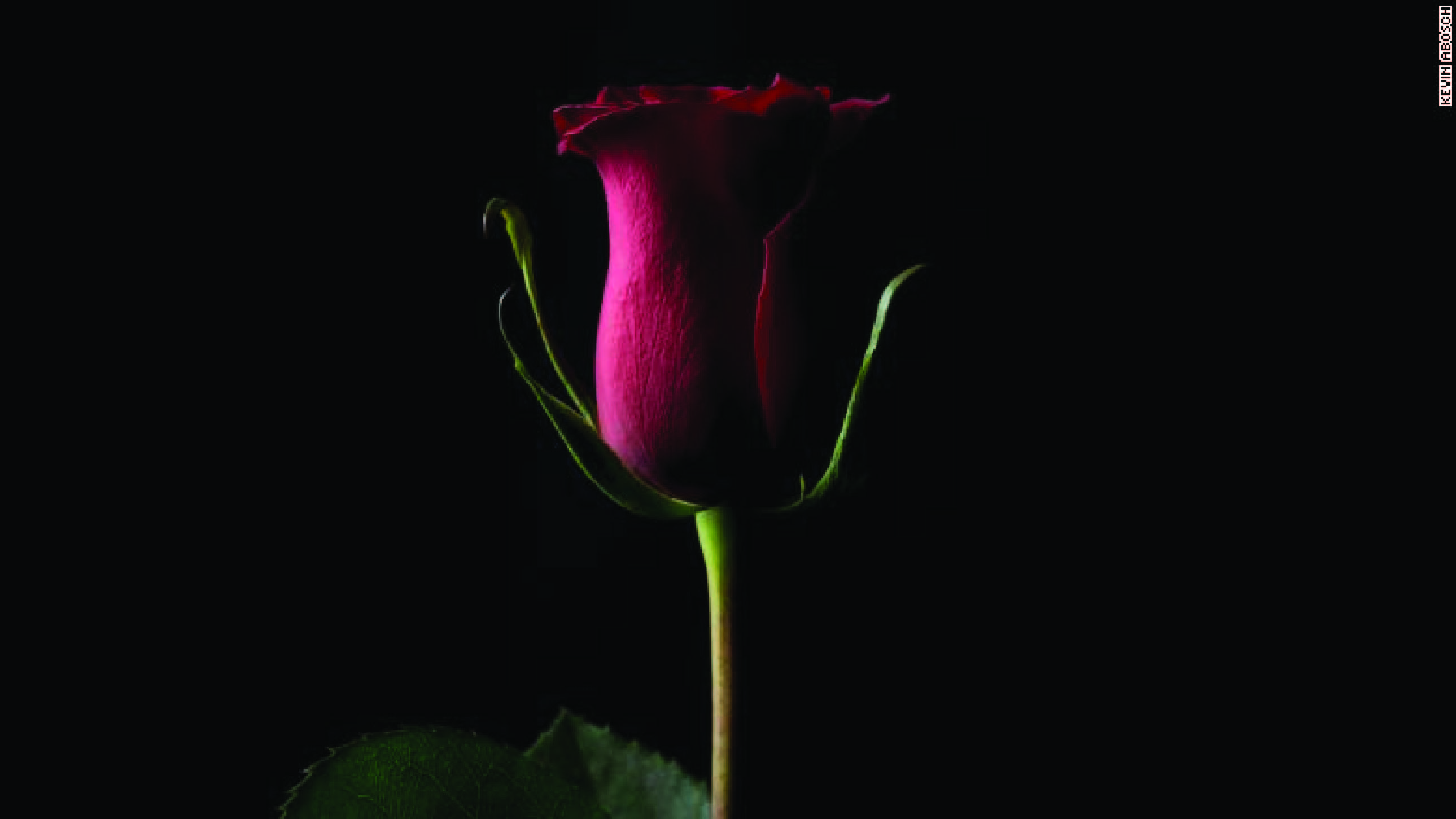 Obra de virtual se vende en 1 millón de dólares - cryptoarteint