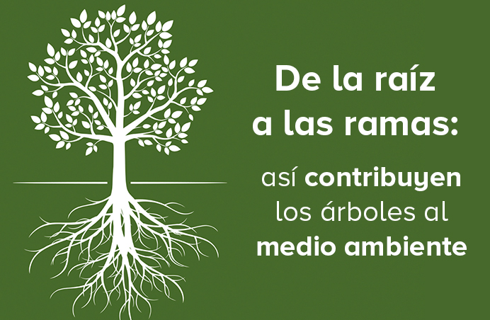 Celebran el Día del Árbol promoviendo la reforestación - de-la-raiz-a-las-ramas-destacado