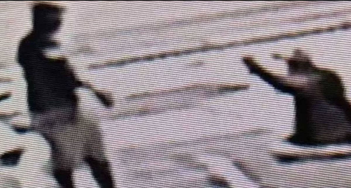 #Video Hombre asesina a joven frente a su familia y no es arrestado