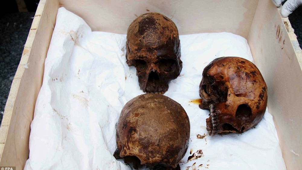 Hallan tres esqueletos en misterioso sarcófago hallado en Alejandría