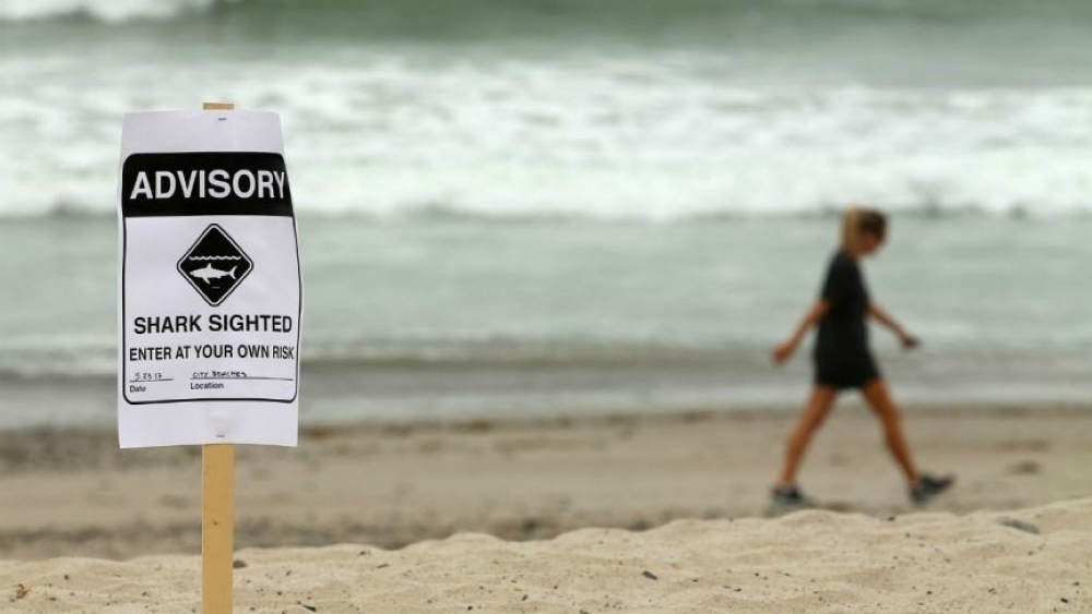 Dos lesionados por ataque de tiburón en Florida