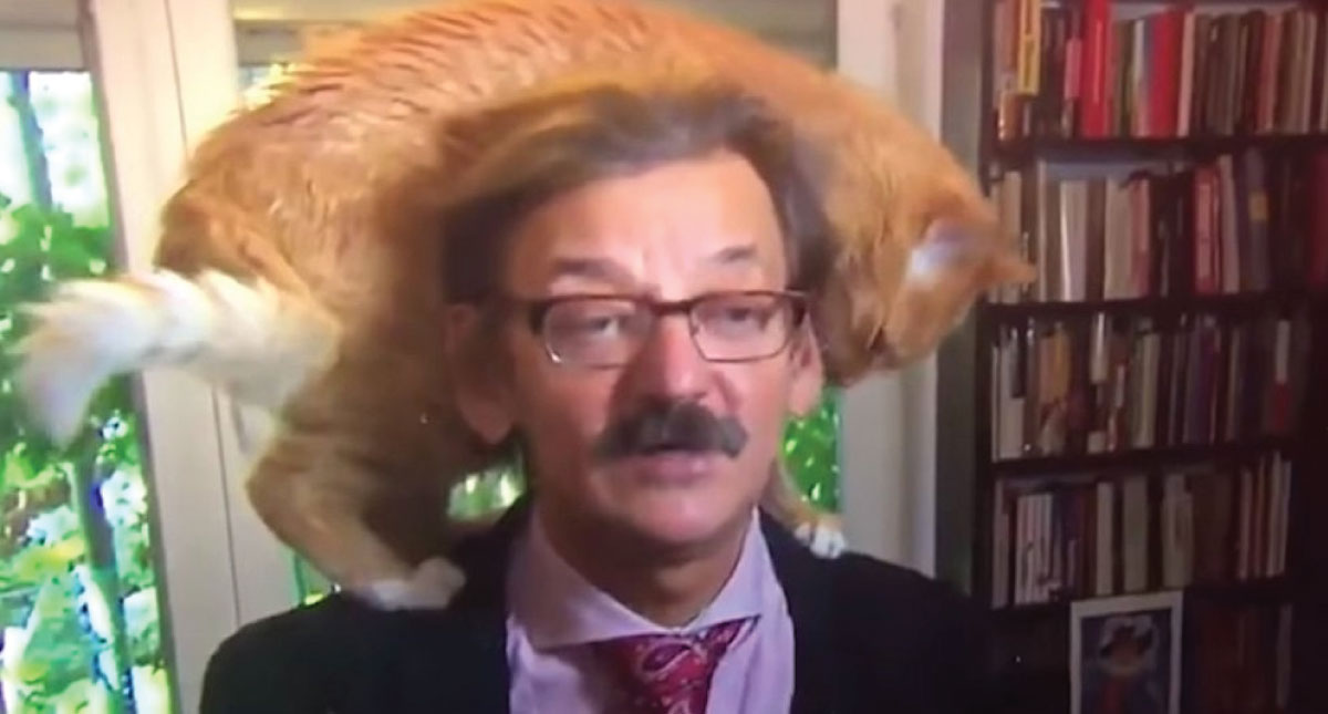 Gato irrumpe en entrevista a Jerzy Targalski y se roba la atención