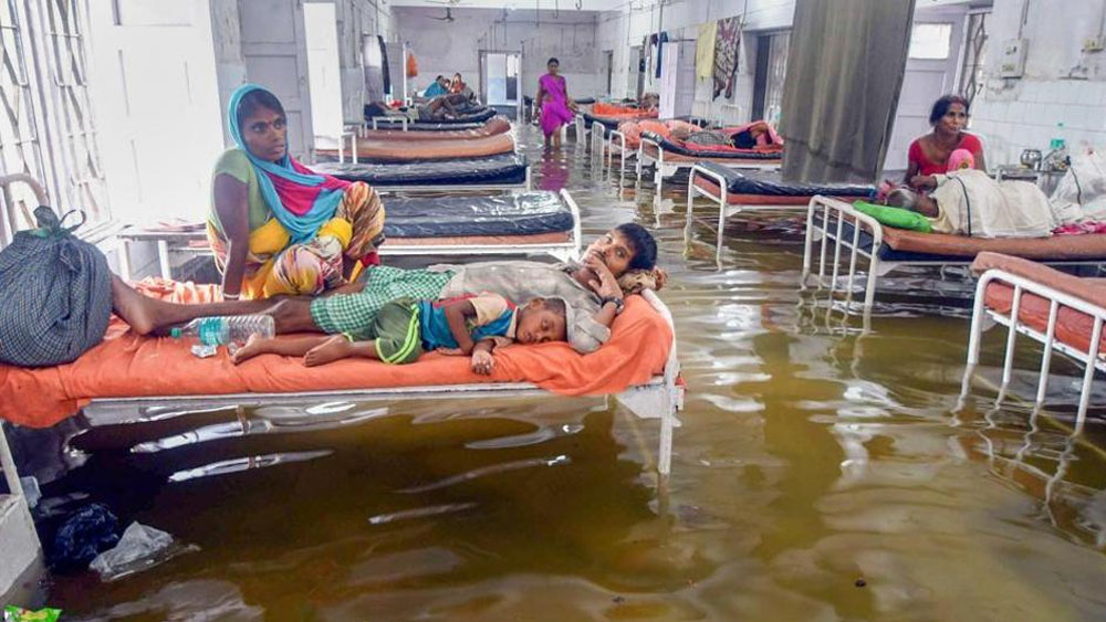 #Video Hallan peces en hospital tras inundaciones en India