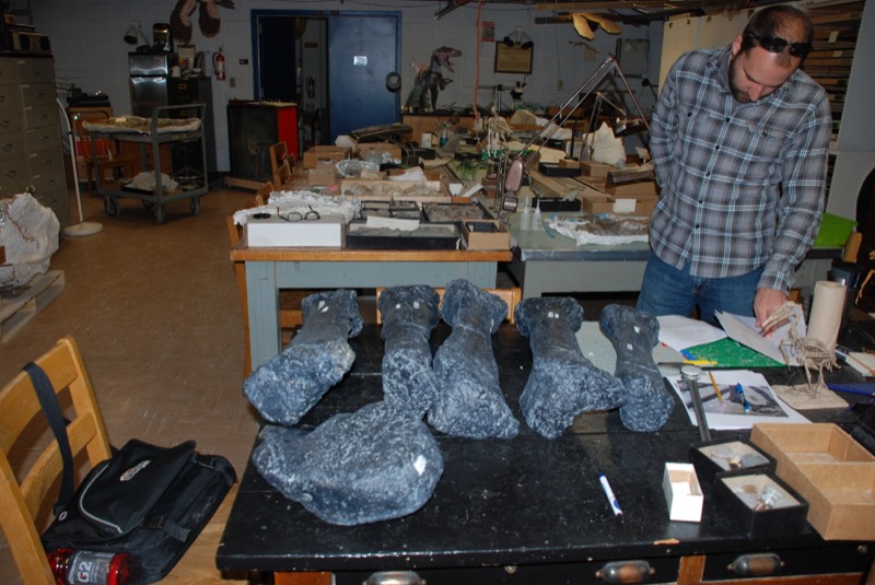 Investigadores encuentran el pie de dinosaurio más grande - hueso-dinosaurio2