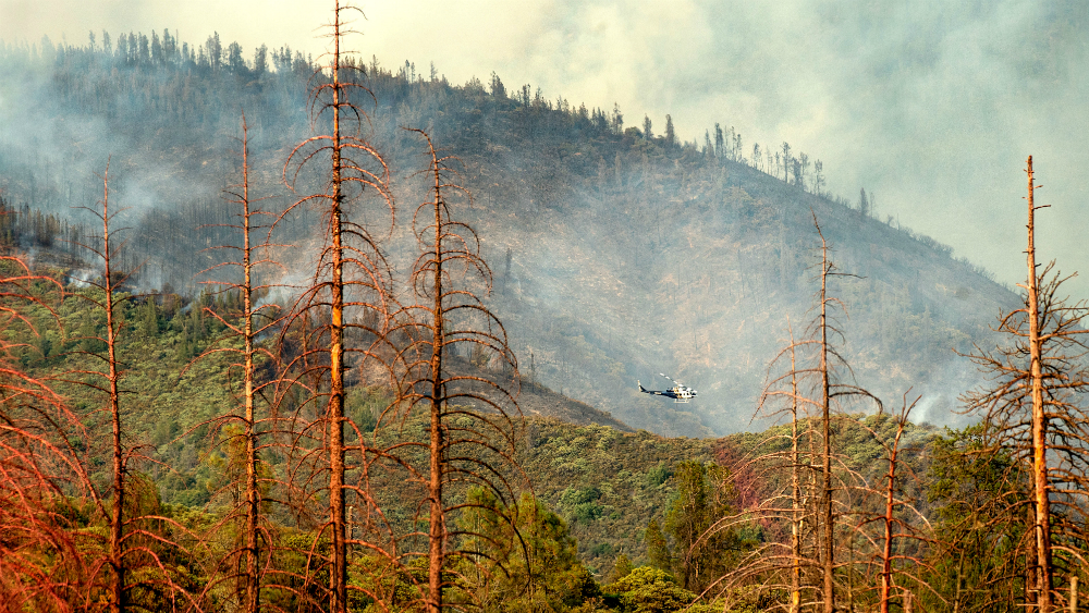 Incendio amenaza a Parque Nacional en California - incendio-yosemite-california-2