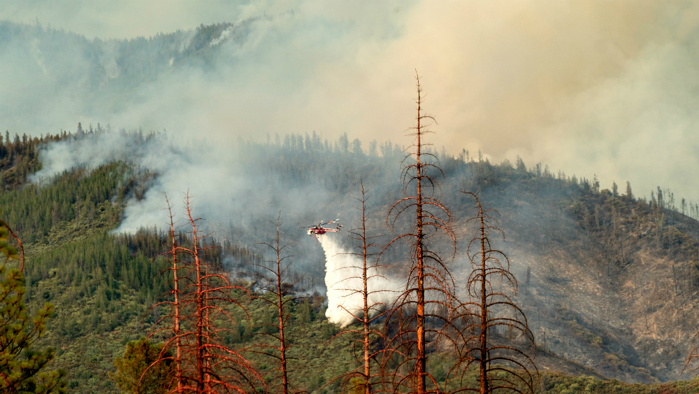 Incendio amenaza a Parque Nacional en California