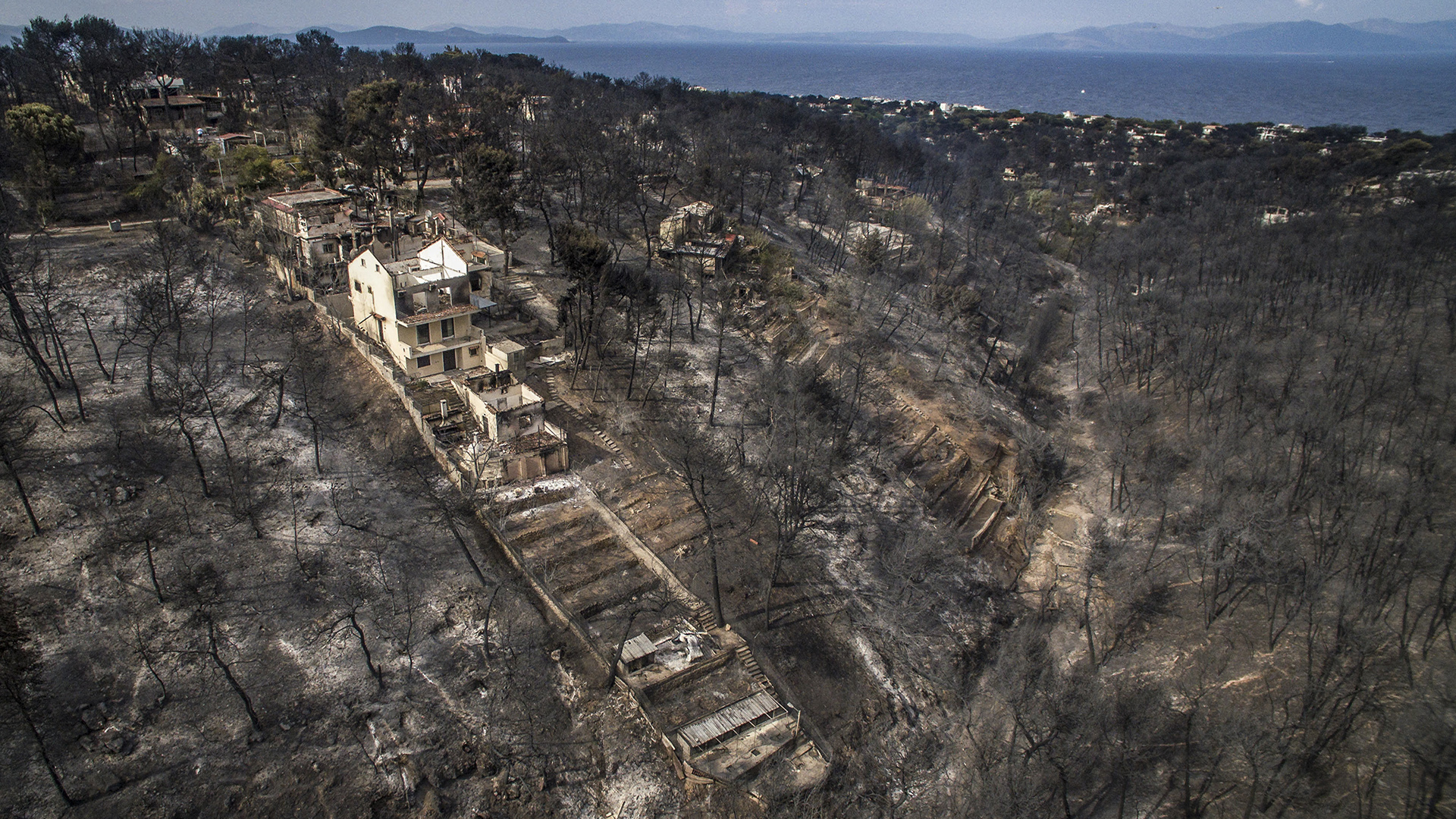 Sube a 87 cifra de muertos por incendios en Grecia Sube a 87 cifra de muertos por incendios en Grecia