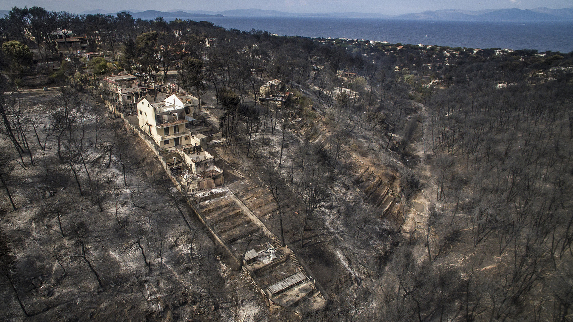 Suman 91 muertos por incendios en Grecia - incendios-forestales-muertos-grecia