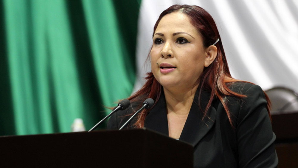 Diputada propone instalar reductores de velocidad en carreteras