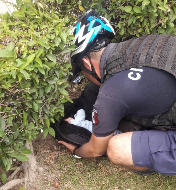 Abandonan a bebé en mercado de Aguascalientes - mercado-primavera-aguascalientes-bebe-abandonado