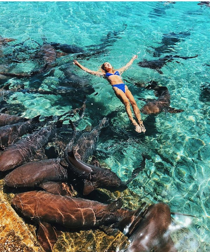 Tiburón nodriza ataca a modelo de Instagram en las Bahamas - modelo-instagram-ataque-tiburones-3-e1531353459511