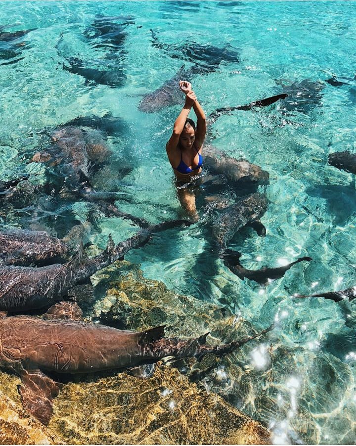 Tiburón nodriza ataca a modelo de Instagram en las Bahamas - modelo-instagram-ataque-tiburones-e1531353501495