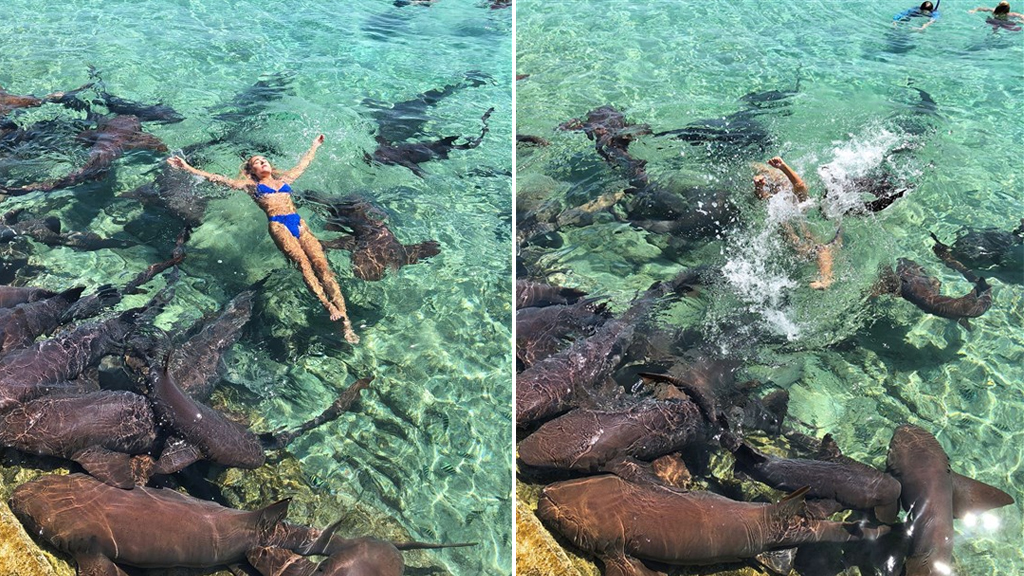 Tiburón nodriza ataca a modelo de Instagram en las Bahamas