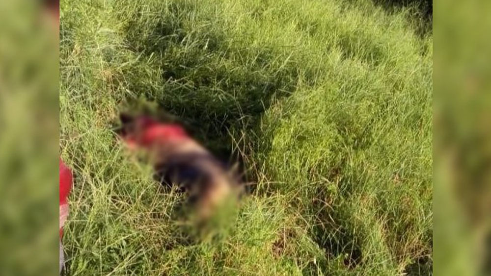 Matan a mujer a pedradas en Acapulco Matan a mujer a pedradas en Acapulco