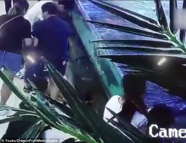 #Video Tiburón muerde la mano de niña en acuario de China - nina-acuario-china