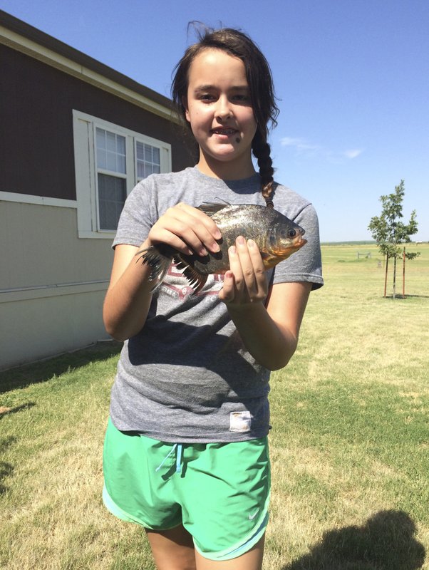 Niña captura piraña con dientes humanos en lago de Oklahoma - nina-pesca-pez-con-dientes