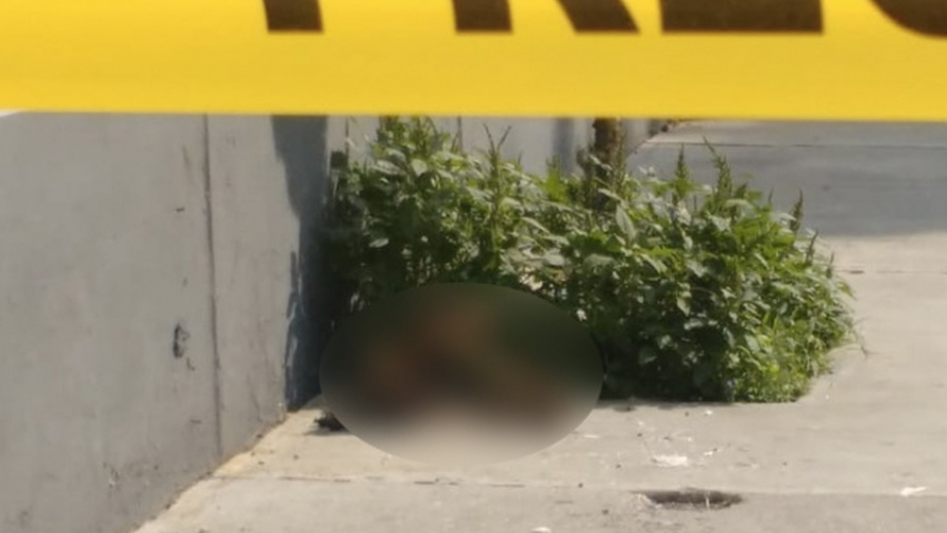 Encuentran restos humanos en GAM