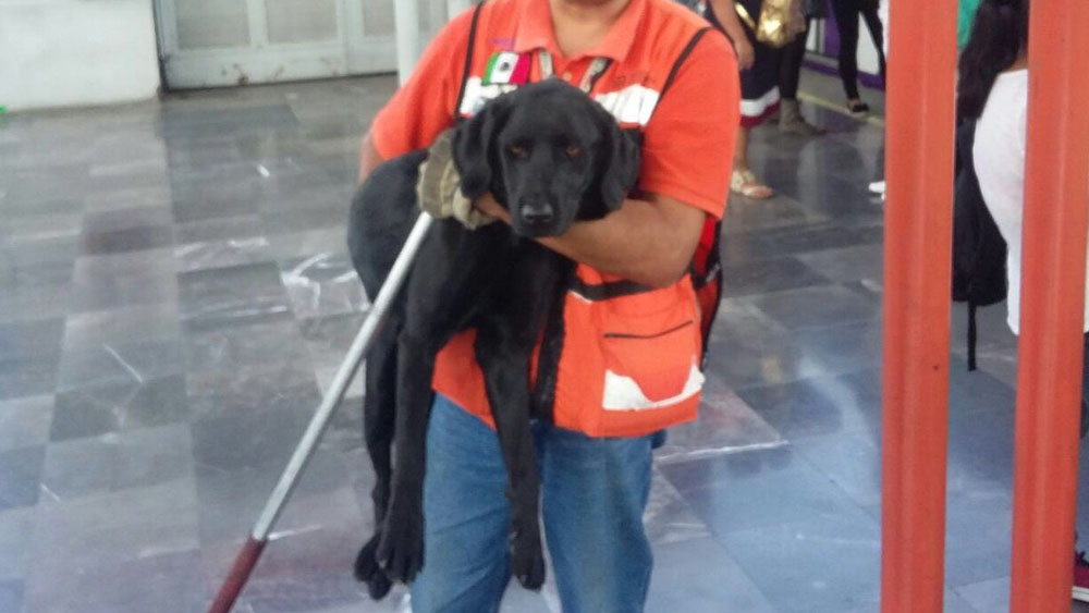 Rescatan a perro en Línea A del Metro