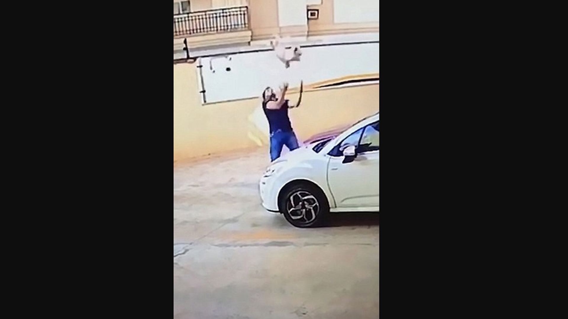#Video Hombre atrapa a perro que cayó de balcón