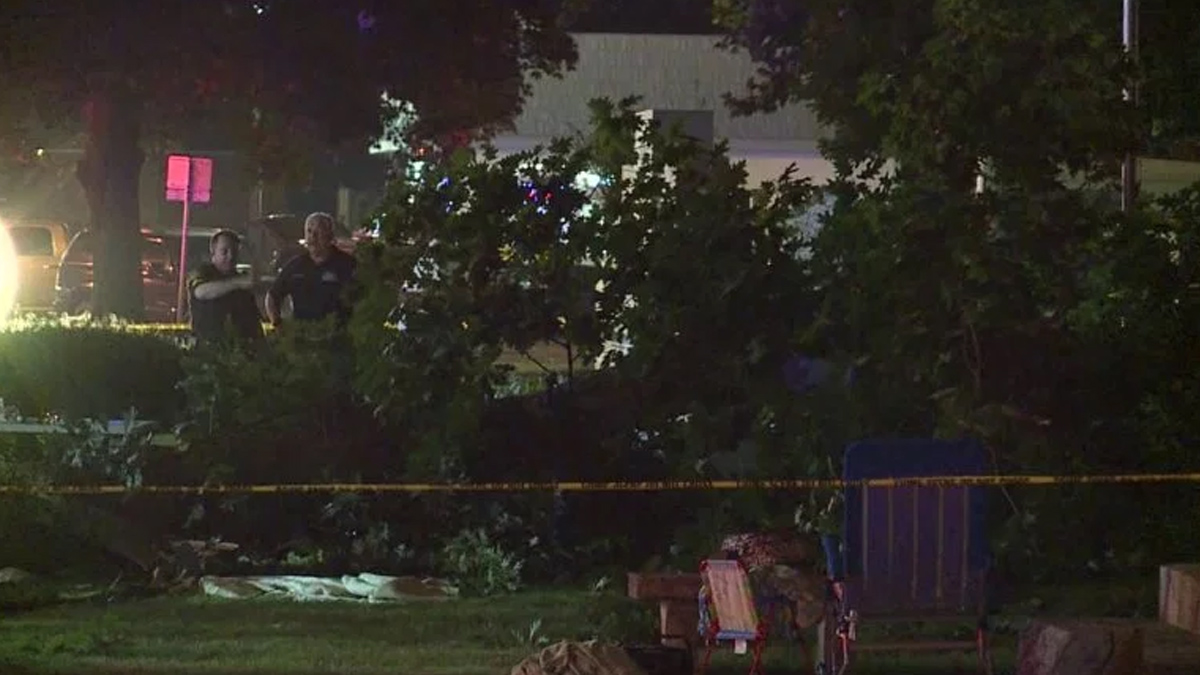 Mueren dos personas aplastadas por rama de árbol en Illinois